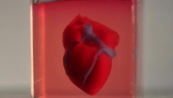 Ein 3D gedrucktes Herz aus menschlichem Gewebe.