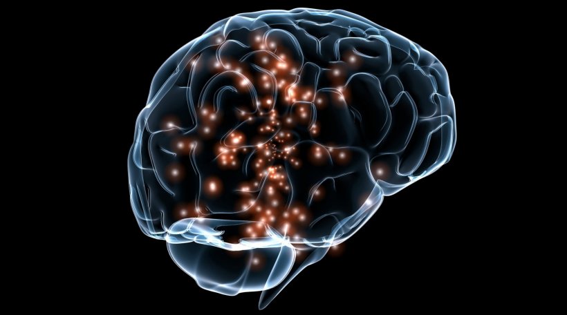 neuronal activity in human brain