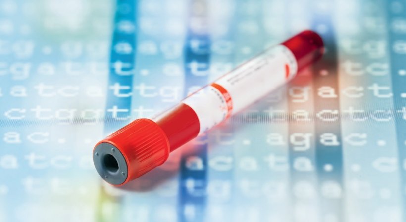 Liquid biopsy to complement early breast cancer screening