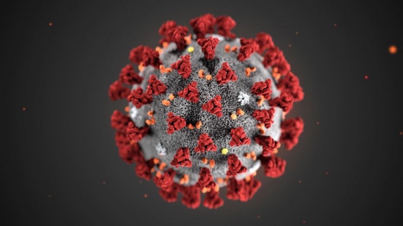 illustration of new coronavirus 2019-nCoV
