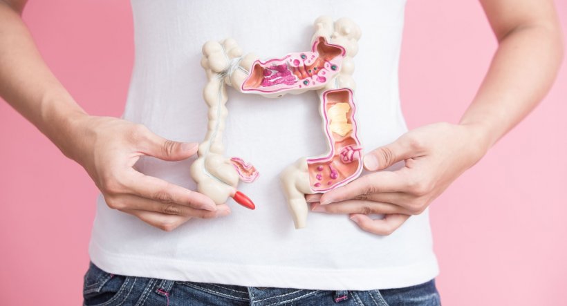 woman holding model of colorectal tract in front of her belly