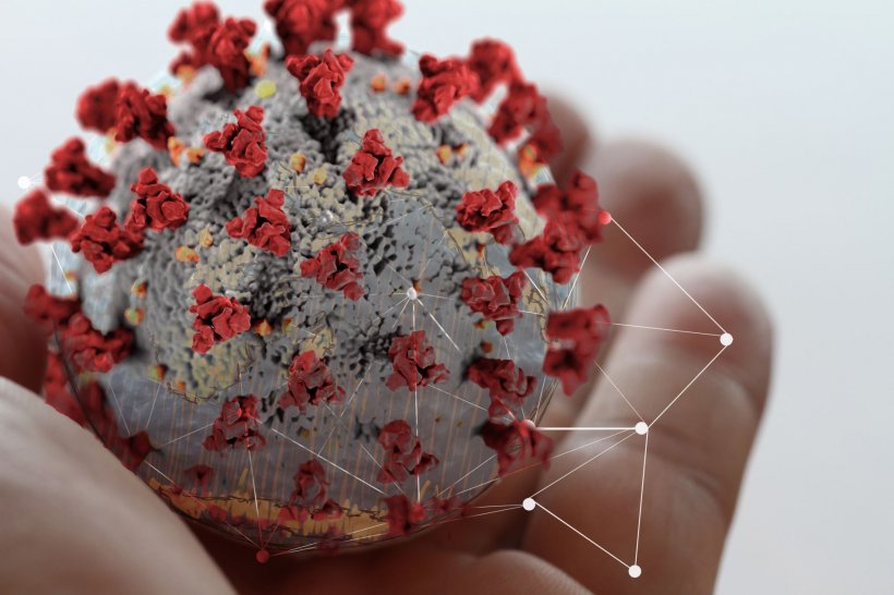 shallow focus photography of hand holding virus model