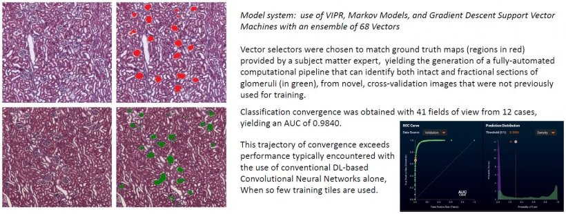 This example shows the VIPR concept applied to automated glomerulus...