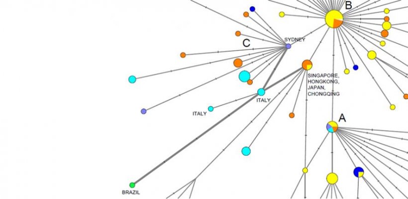 Study charts the “incipient supernova” of COVID-19 through genetic...