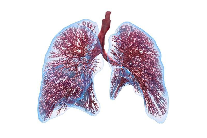 The computational lung model provides a better understanding of the...
