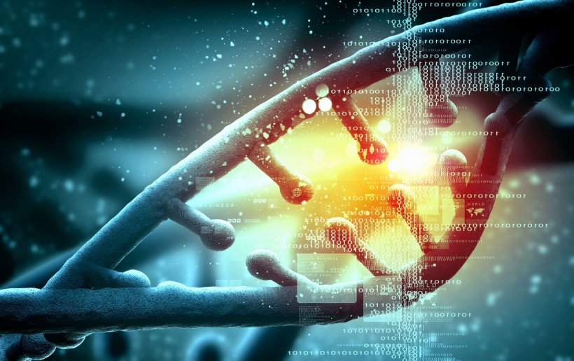 DNA molecule illustration