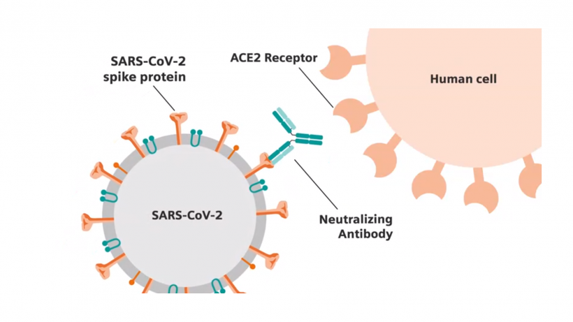 Four commercial immunoassay tests for detection of antibodies