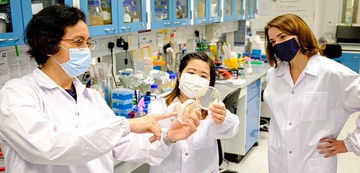 NTU researchers in the lab