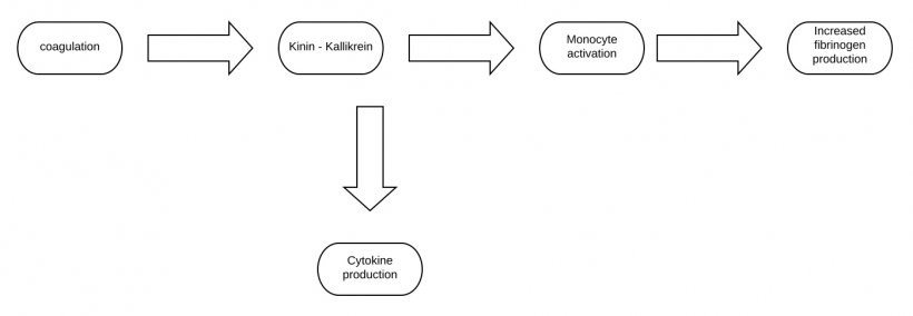 COVID-19: A tale of two conditions