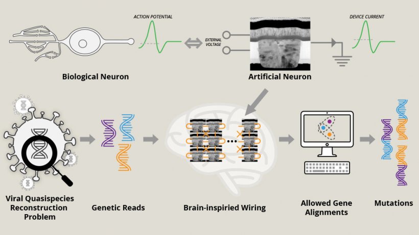 Networks of artificial neurons connected together can solve toy versions the...