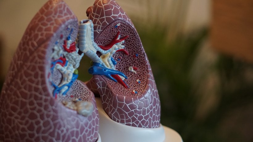 Pneumologen geben Entwarnung: Asthma kein Risikofaktor für schwere...