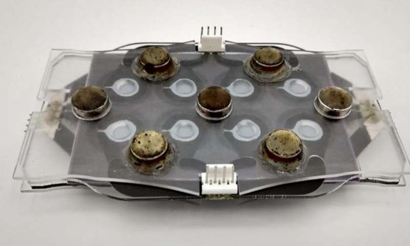 Researchers have developed a new device for faster testing of...