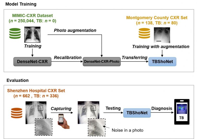 UPDATE: Covid-19 and lung infections imaging