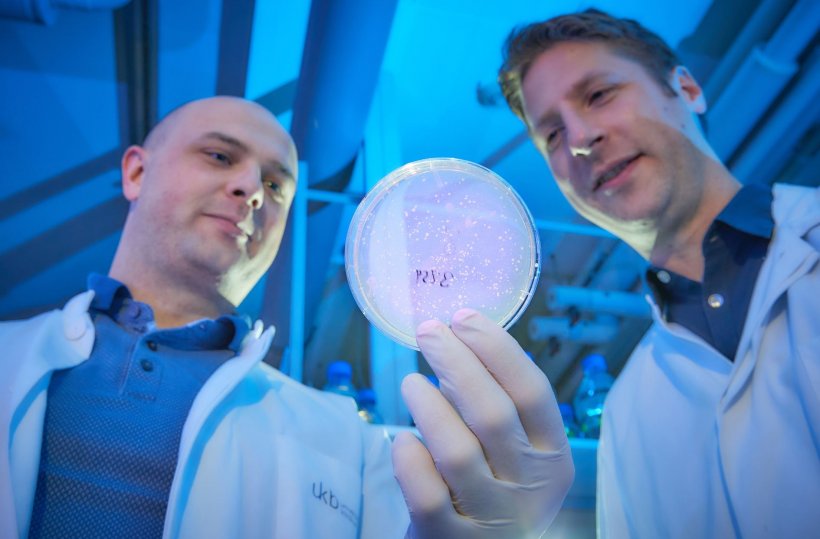 Mit Zellkultur im Labor: Dr. Paul-Albert König (links) von der Core Facility...