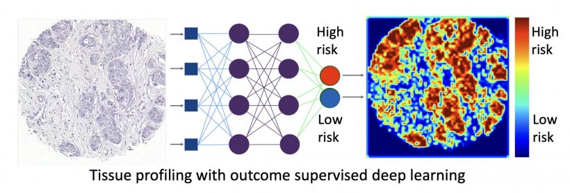 Outcome of supervised learning