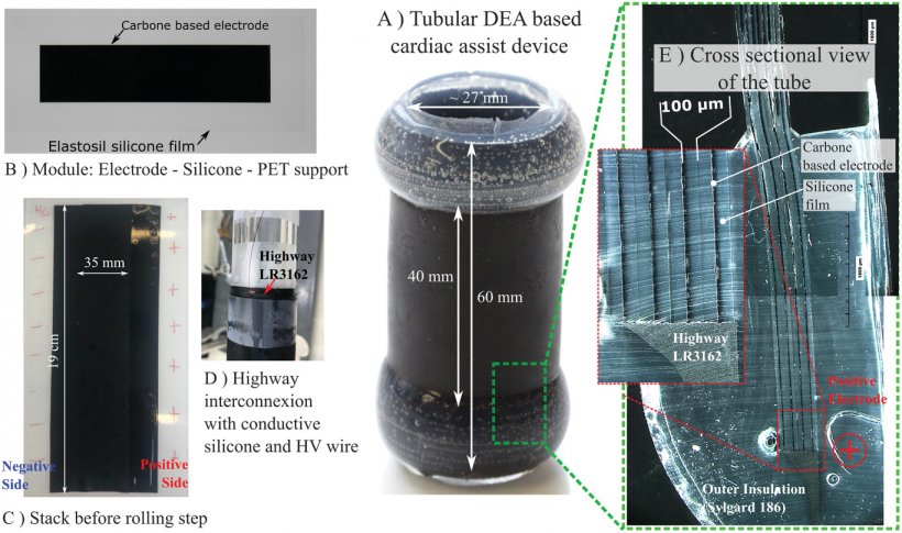 Fabrication results of the dielectric‐elastomer‐augmented aorta (DEAA) ‐...