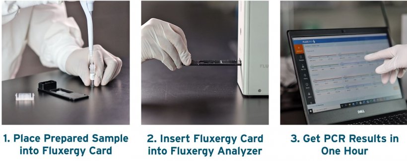 Detect SARS-CoV-2 on the Fluxergy Platform