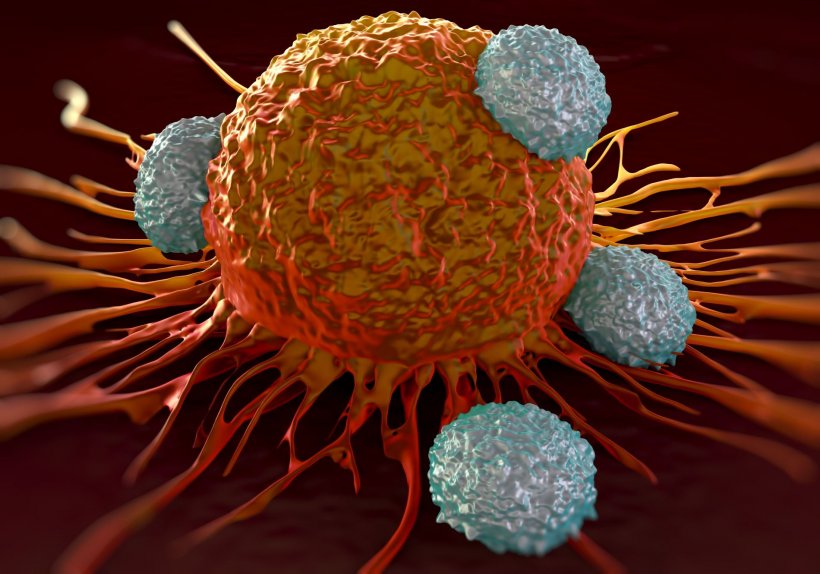 T-Zellen greifen Krebszelle an (Illustration)