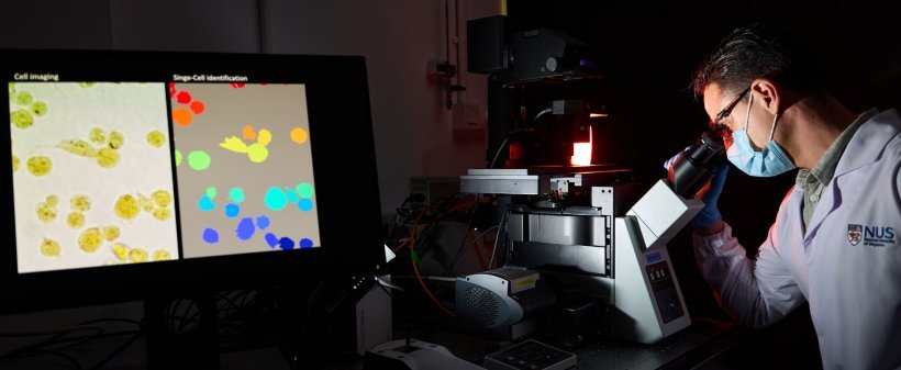 The new AI tool translates the cells acidity into a comprehensive colour...