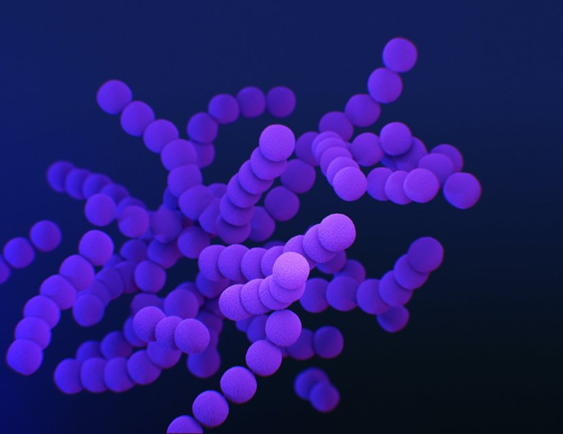 Higher doses of antibiotic may strenghten certain bacteria