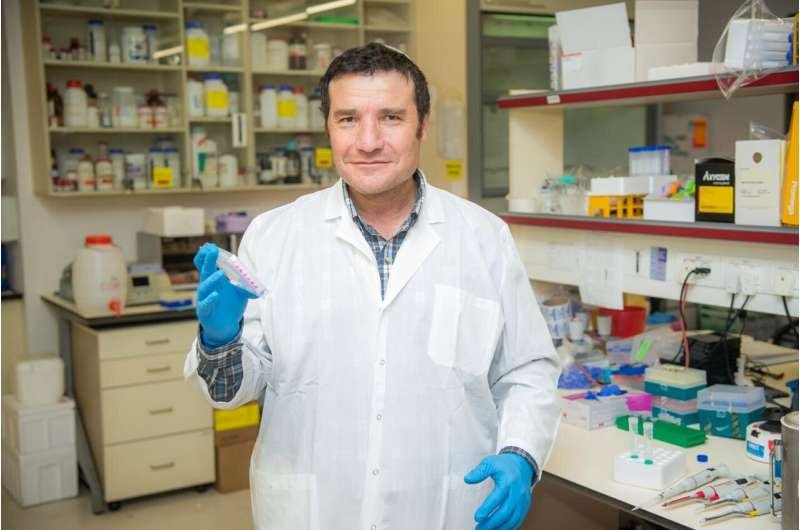Lead author Prof. Haim Cohen, of Bar-Ilan University, holds a well microplate...