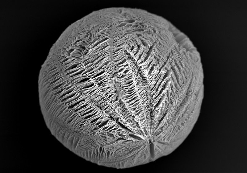 Biodegradable microsphere - highly porous surface.