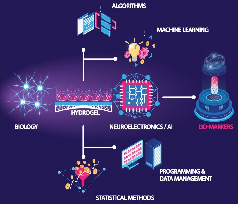 Synopsis of the technology of “3D-Markers” and its components