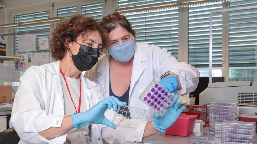 Priscilla Turelli (left) and Charlène Raclot analysing blood samples for...