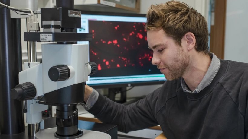 Max Hahn, doctoral student at Umeå Center for Molecular Biology, studies a...