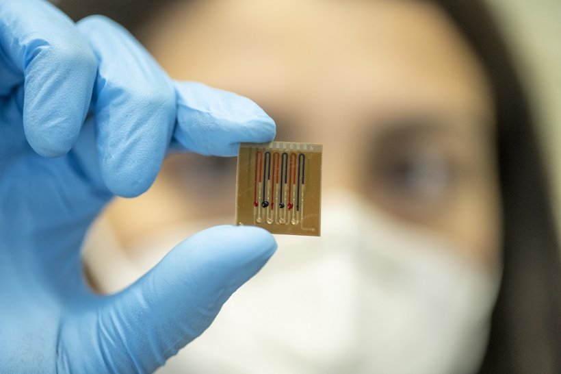 Der Mikrofluidik-Multiplex-Biosensor trägt auf einem Polymerfilm befestigte...