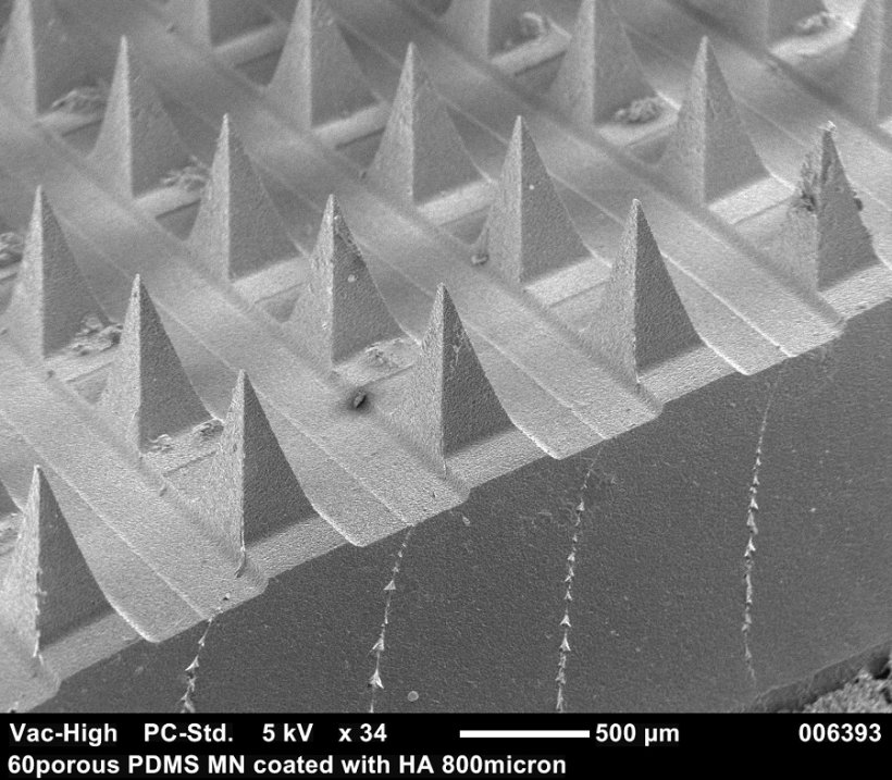 Microneedles under a scanning electron microscope: Using a biodegradable...