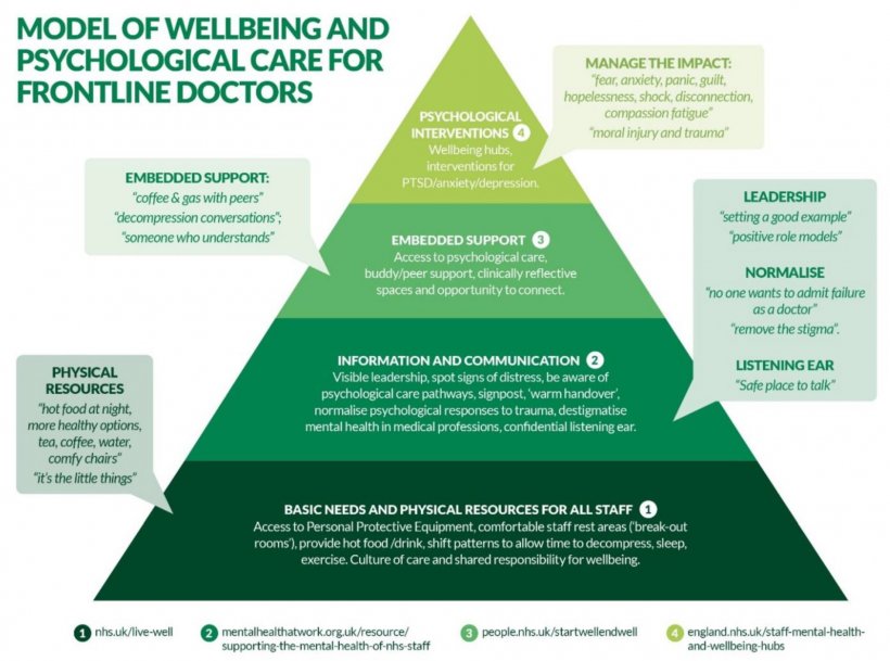 Model of wellbeing and psychological care for frontline doctors