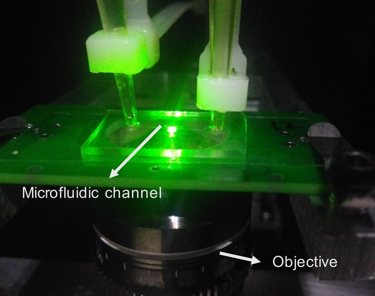 The sensor uses only low-cost materials (the diamonds involved are smaller than...