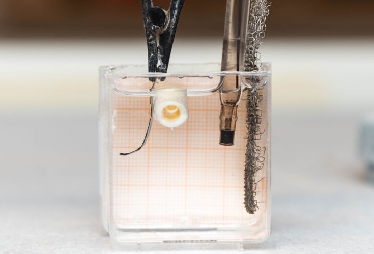 When voltage is applied, the material (left) will slowly bend towards the...