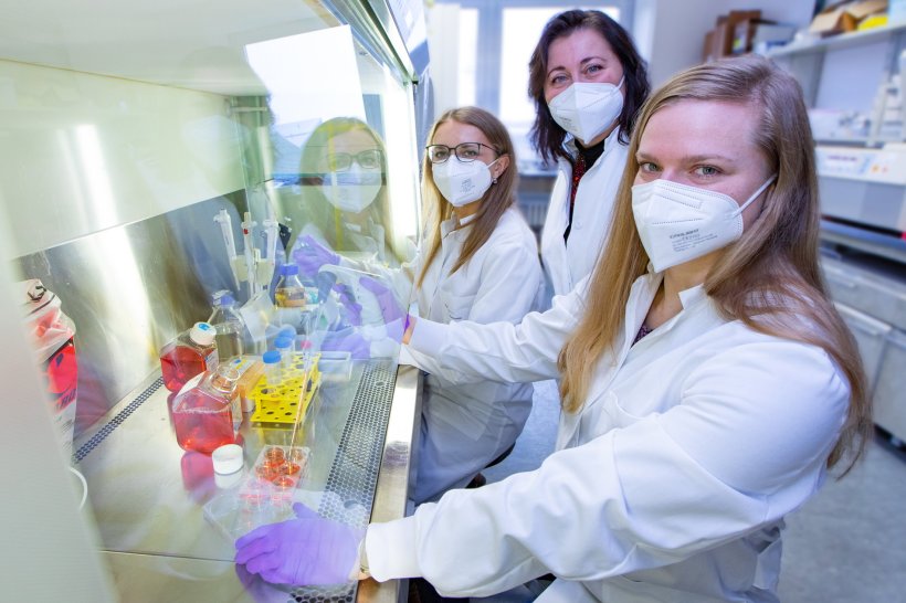 Inga Hochnadel (von links), Dr. Tetyana Yevsa und Dr. Lisa Hönicke im Labor