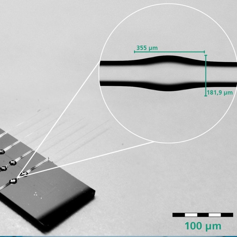 Photonischer Chip mit vier Mikroflaschenresonatoren
