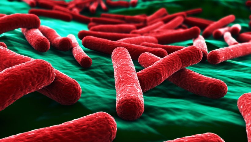 3d rendering of e.coli bacteria