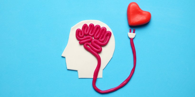 connection between brain and heart