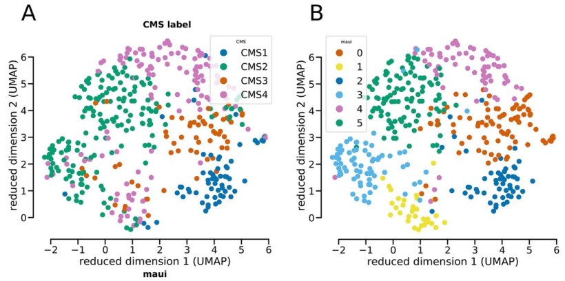 Tumor samples are clustered into the four standard colorectal subtypes based on...