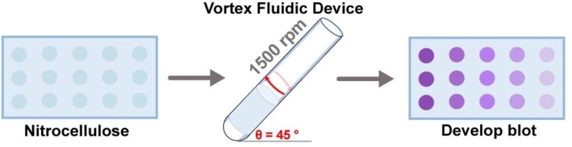 Next step in rapid diagnostics for infectious diseases