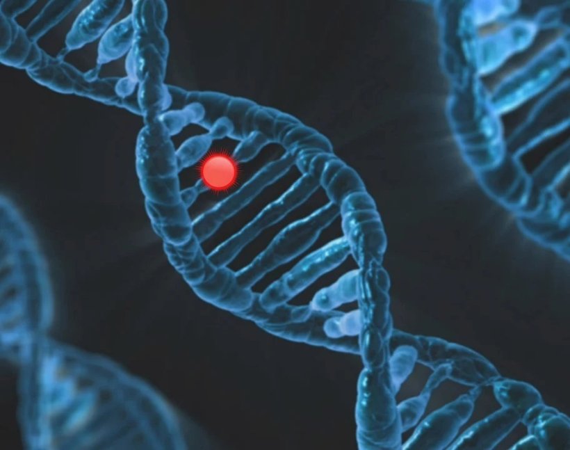 DNA-Strang mit rotem Punkt, der Mutation symbolisiert.