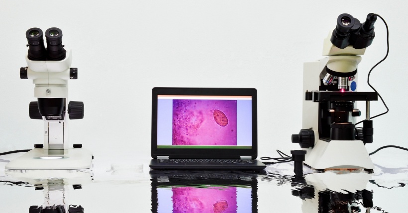 Microscopes connected to laptop