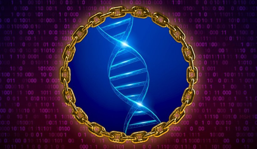 The SAMchain ensures that individual genomic information remains secure