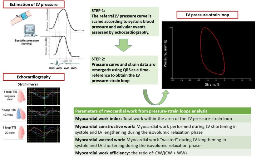 Pressurestrain loop to assess myocardial work •