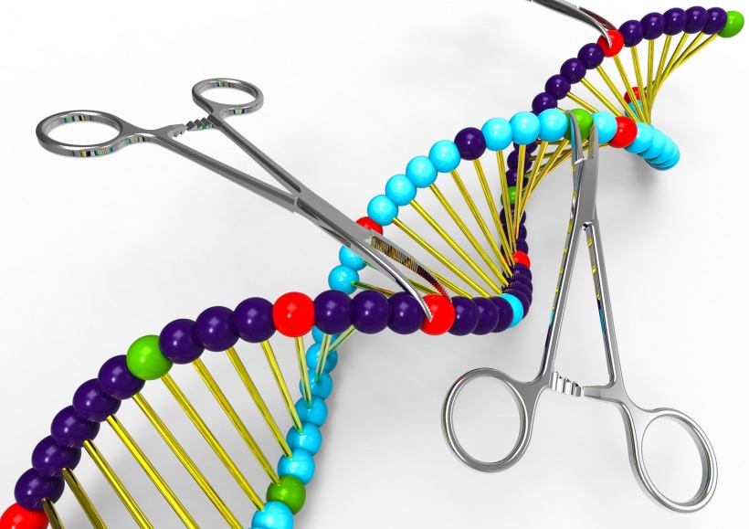 CRISPR/Cas9 and Sherlock: Savers, healers or threats to life?