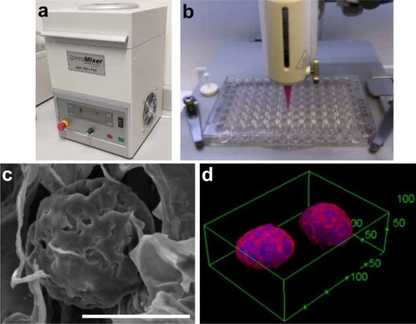 Schematic illustrating the bioprinted colorectal cancer (CRC) spheroid...