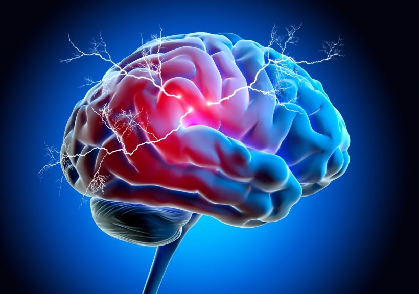 electrical activity in the human brain