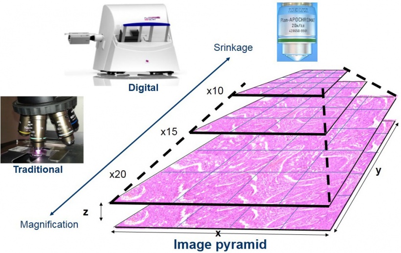 Figure 1: Traditional microcopy allows only discrete magnifications with...