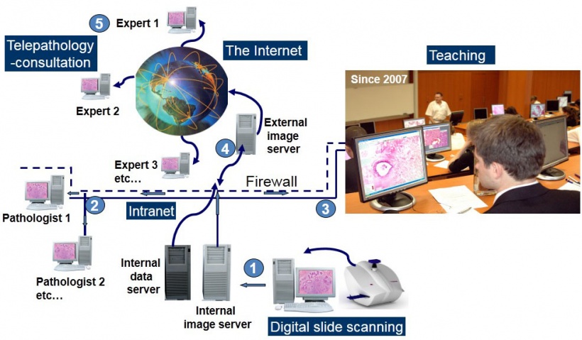 Figure 3: Scanned digital slides can be shared with end-users both through the...