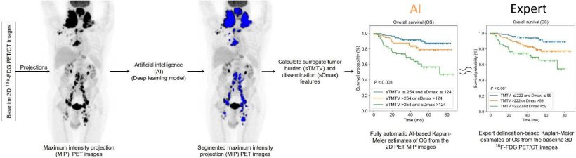 AI in multimodality hybrid imaging: a diamond in the rough